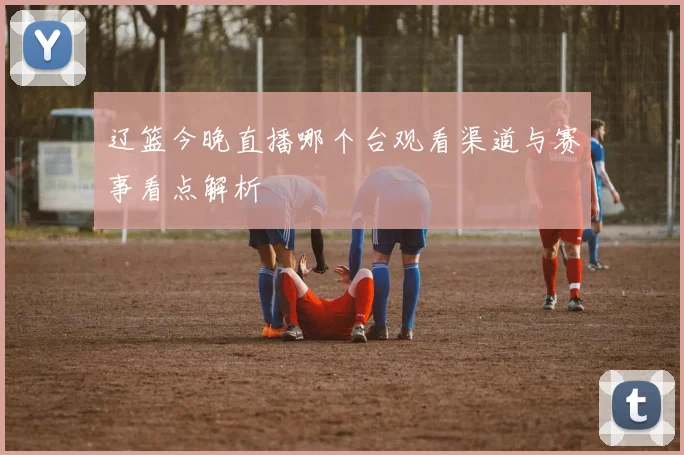 辽篮今晚直播哪个台观看渠道与赛事看点解析