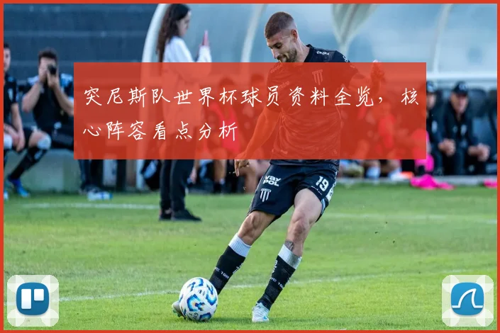 突尼斯队世界杯球员资料全览,核心阵容看点分析