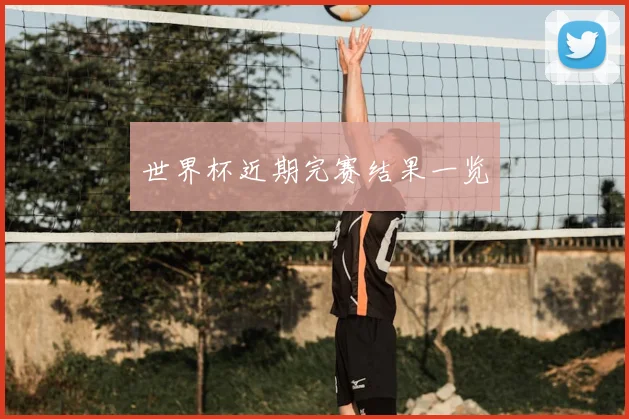 世界杯近期完赛结果一览