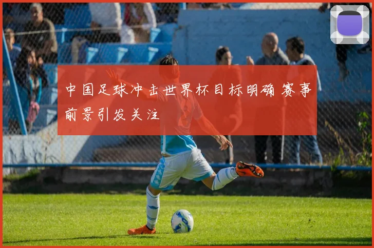 中国足球冲击世界杯目标明确 赛事前景引发关注
