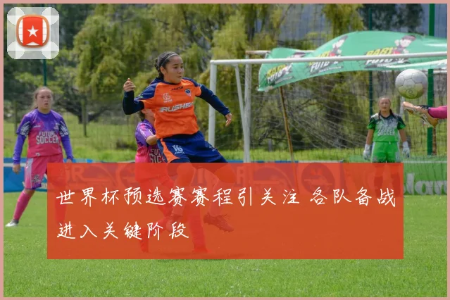 世界杯预选赛赛程引关注 各队备战进入关键阶段