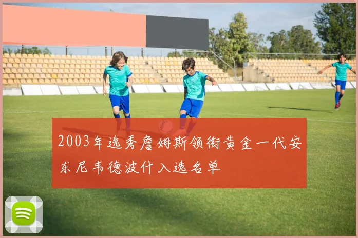 2003年选秀詹姆斯领衔黄金一代安东尼韦德波什入选名单